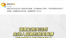 娱乐圈吃瓜微信号,揭秘明星背后的故事与真相